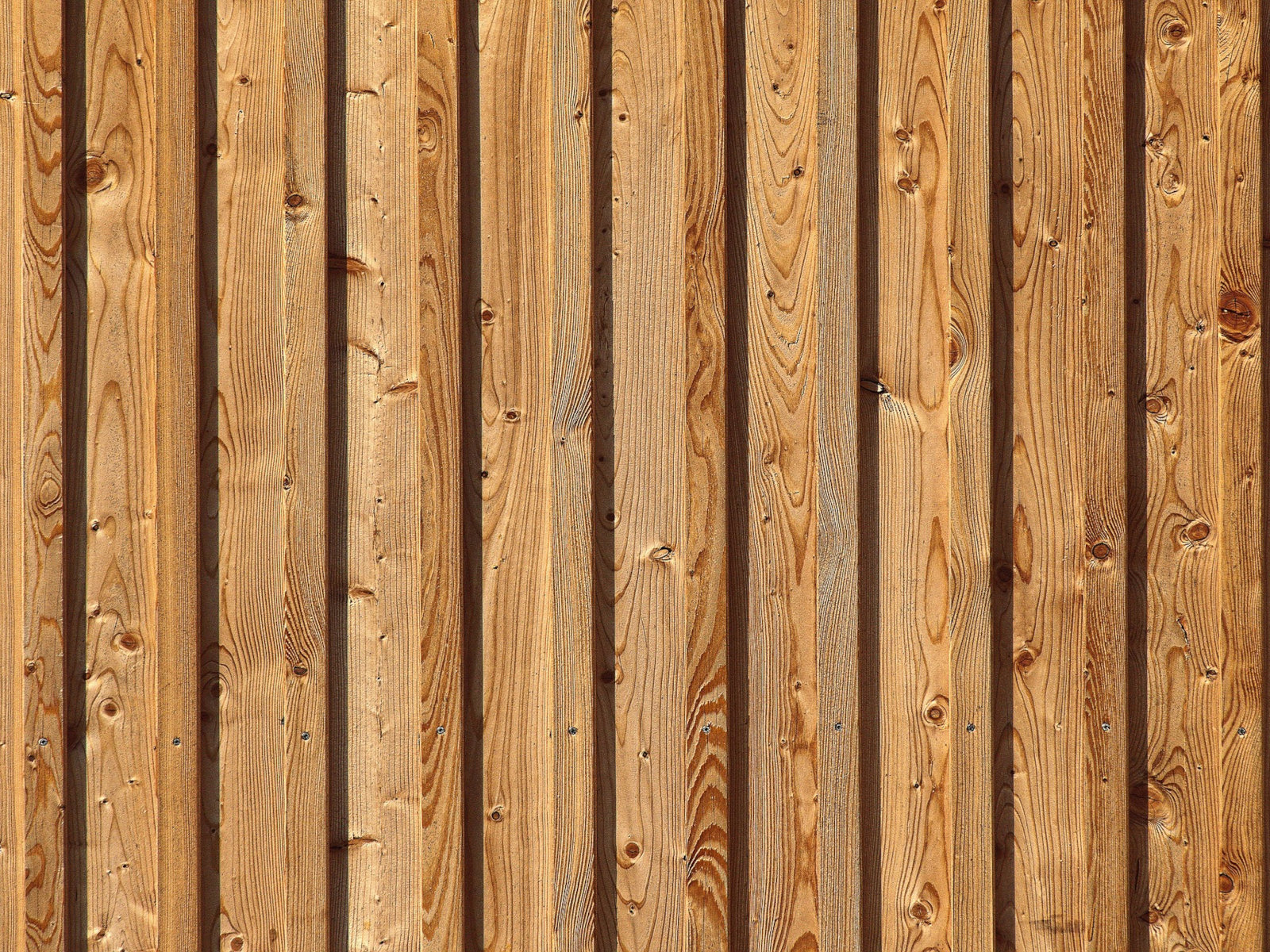 Wooden Fence
